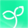 Sprout logo